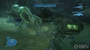 GUETA nightfall