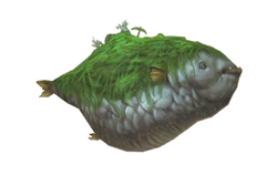 Mossy Moses