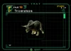 Triceratops.jpg