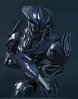 EliteZealot
