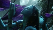 Sow-avatar.1080p 3844