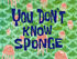 You Don't Know Sponge.jpg