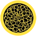 Kiku.png