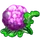 Purple Cauliflower-icon