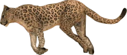 Kahn