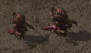 HydraliskHunterKiller SC2 Game1