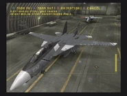 F-14D Schnee 1