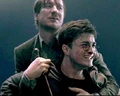 Remus Harry.jpg