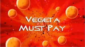 Vegeta Must Pay