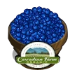 Organic Blueberries Bushel-icon