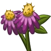 Purple Coneflower-icon