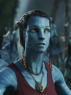 Grace Avatar Infobox