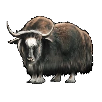 Huge item yak 01.gif