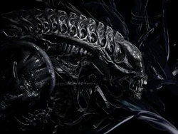 Alien-1-