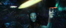 Neytiri And Fanlizards