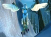 Snowblind Harpy