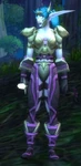 Silverwing Warrior