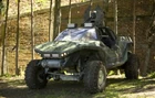 Real-halo-warthog