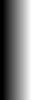 Spotlight_bannerZwart_naar_transparant_100px.png