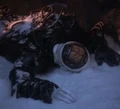 Dead Borg 4 2368.jpg