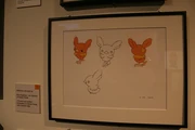 Torchic Beta