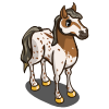 Palouse Horse-icon.png