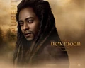 Normal 011m.jpg