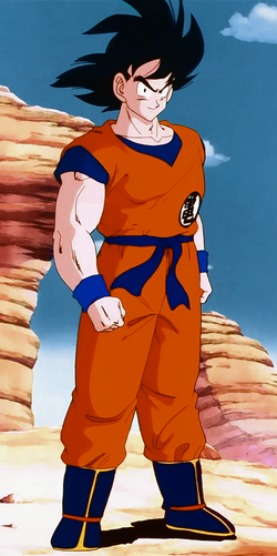 Erdyan Kurosaki Profil Son Goku