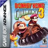 DKC3-GBA-Box