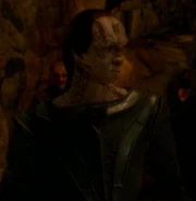 Cardassian rebel 2 2375