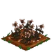 Sunflower withered