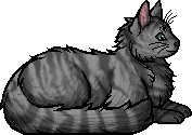 Oakstep.elder