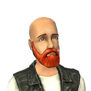 BobSim