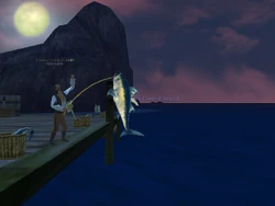 Fishing guy