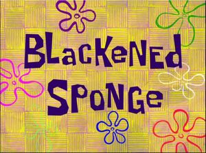 300px-Blackened_Sponge.jpg