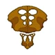 Logo-species8472t
