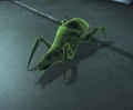 Rachni Worker.png