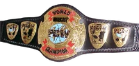 PCW Broadcast Championship