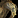 IconSmall Camel.gif
