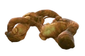 Biomass.png