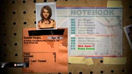 Gemini notebook entry
