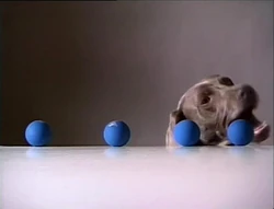 Fay.add4balls.jpg