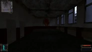 Dead City 5