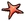 Starfish Pin