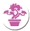 Bonsai Trees-icon