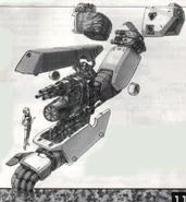 Arm