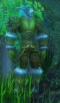Severed Druid