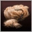 Camel Hair