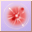 Gemme du Dragon Rouge.png