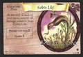 CobraLily.jpg